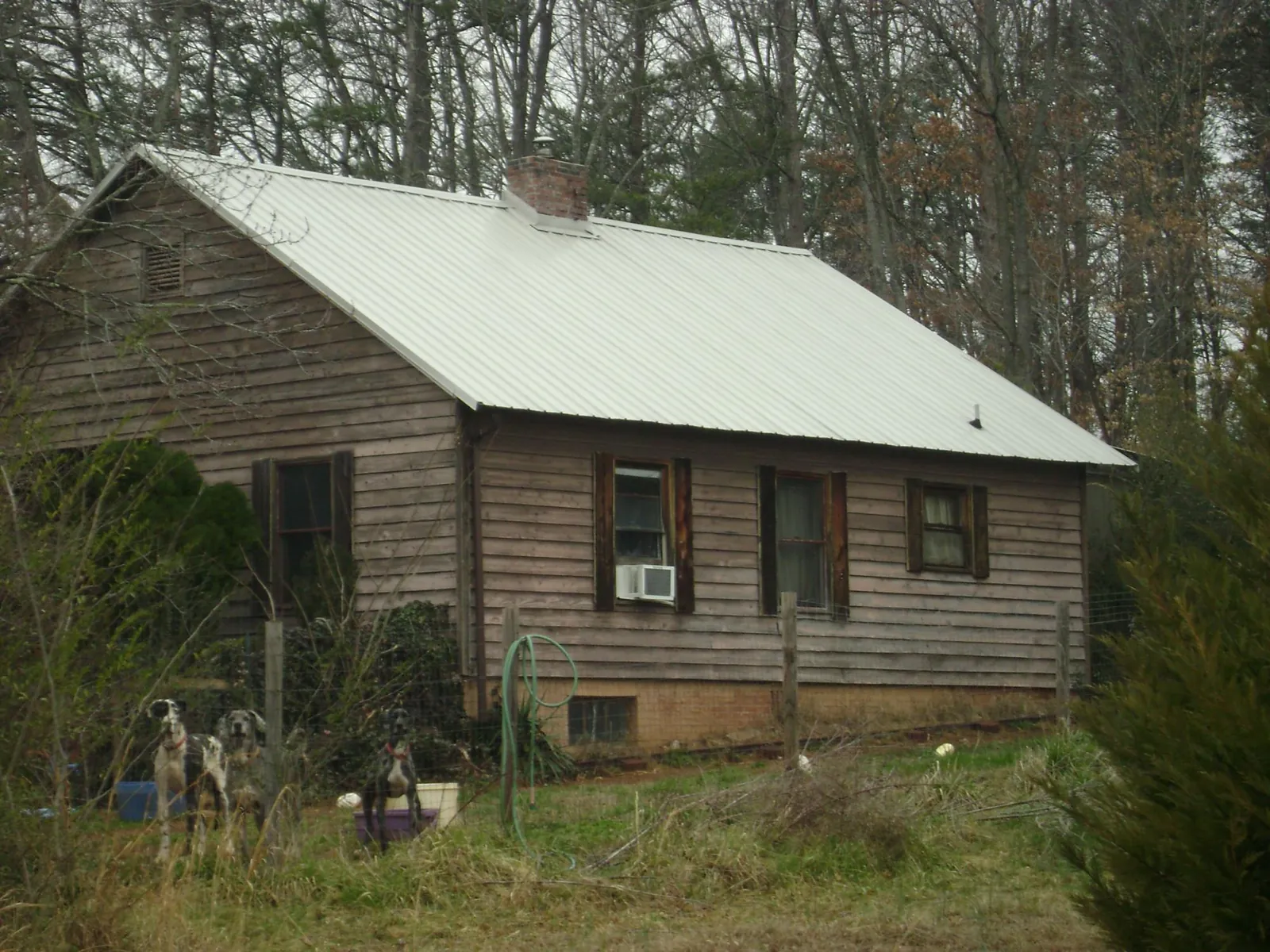 White metal roof on an old wood sided farmhouse, from a Asphalt Shingle Roof Repair job in Old Orchard Beach